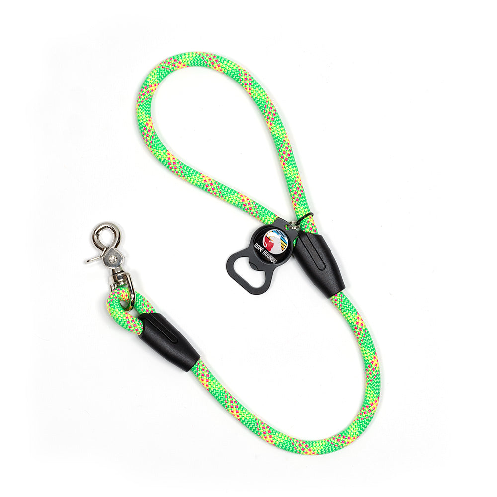 Pineapple hotsell dog leash