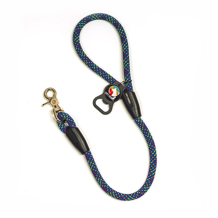 2' Dog Traffic Lead - Blues