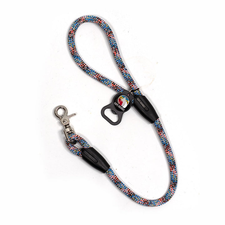 2' Dog Traffic Lead - Multicolor