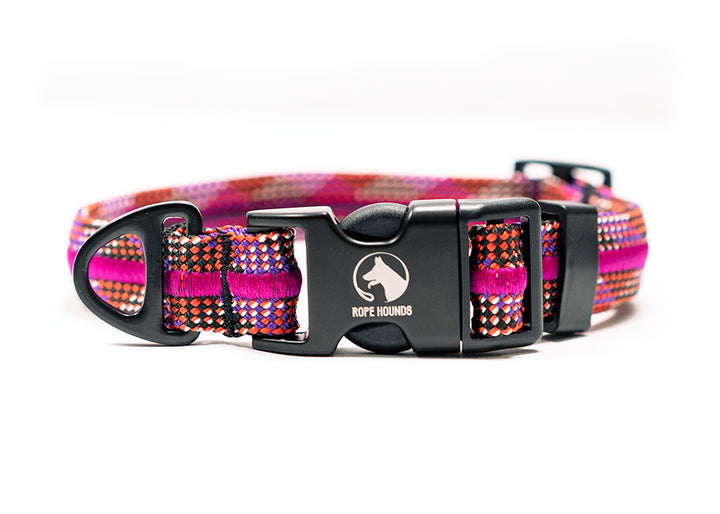 Adventure Dog Collar - Pinks/Purples
