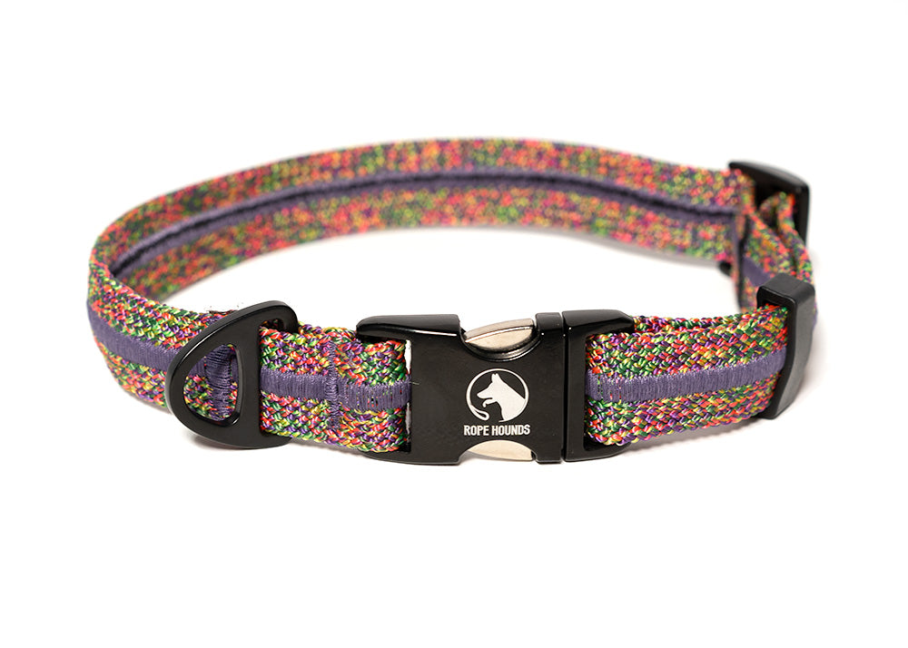 Hidden Gem Fi Compatible Collar - FALL RELEASE