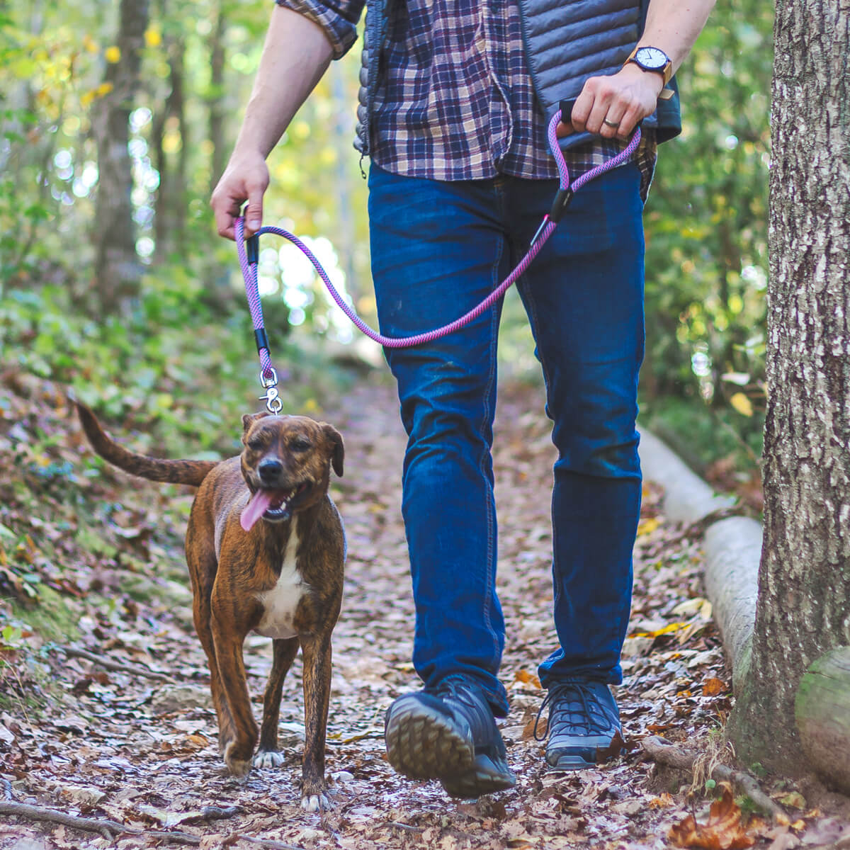 Urban Handle Dog Leash