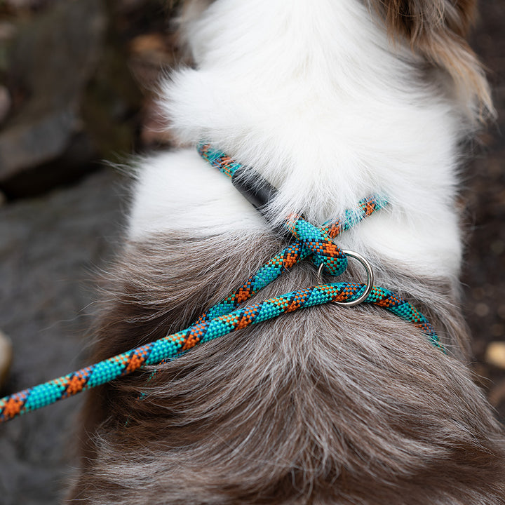 Rope Dog Harness