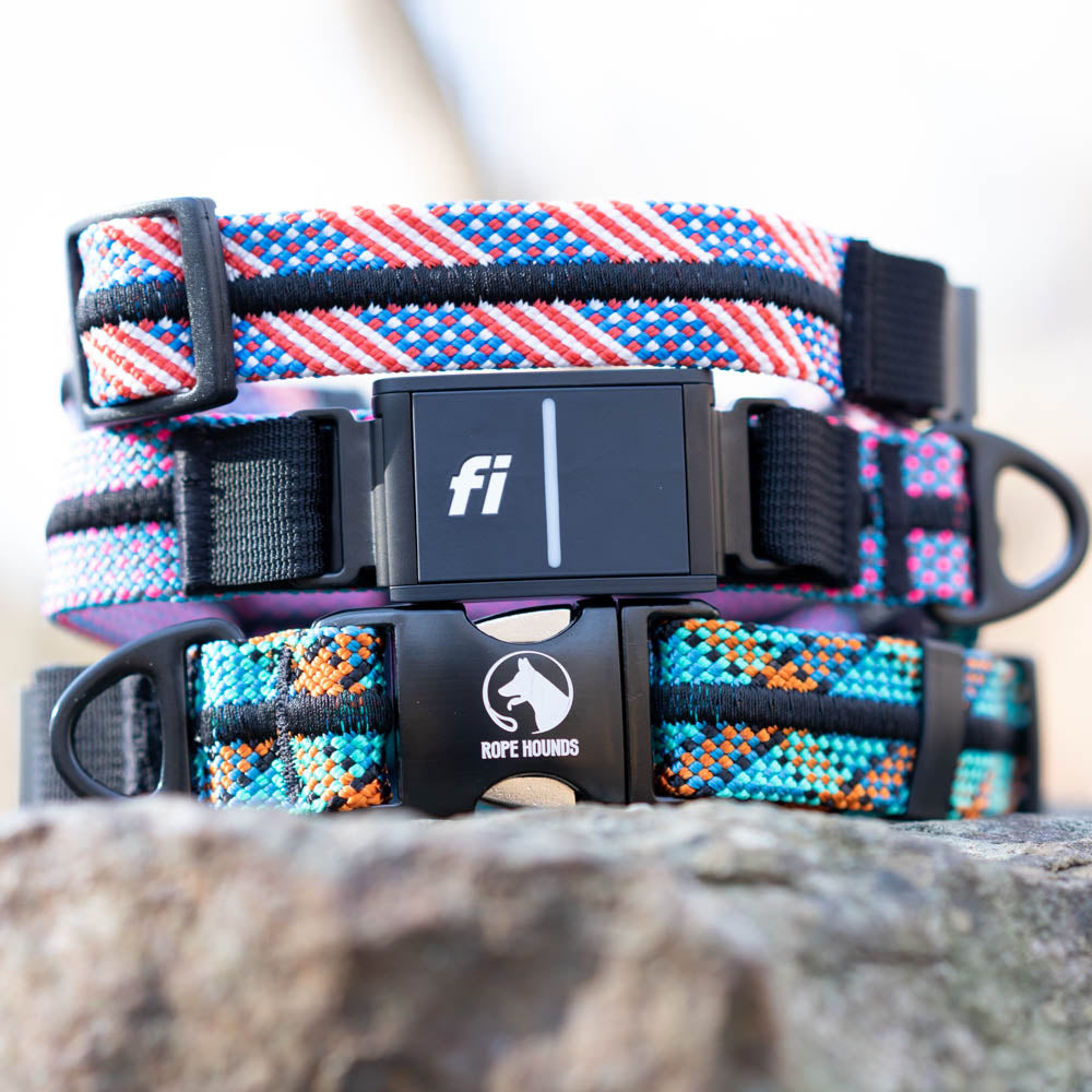 Fi Compatible collars in colorful designs and styles.