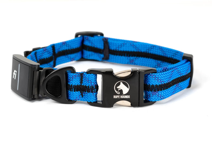 Fi Compatible Collar Band - Blues