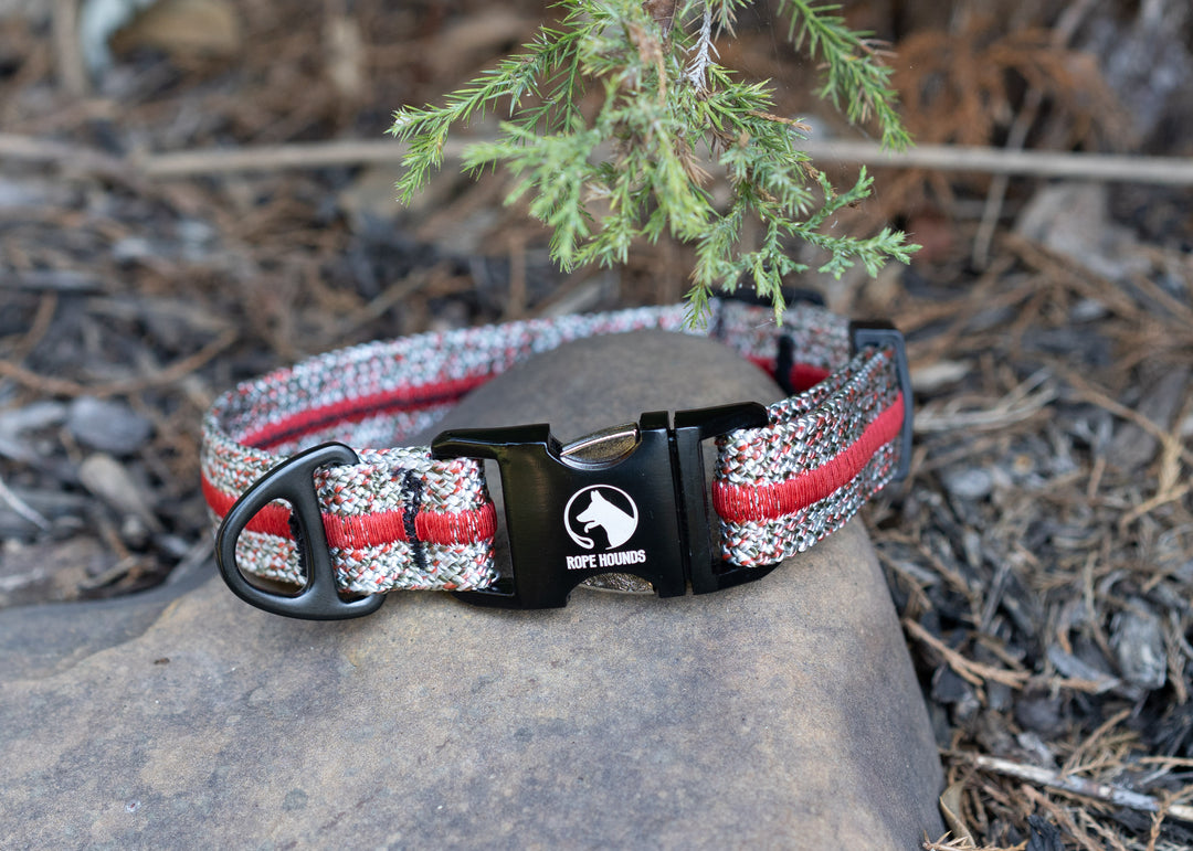 WINTER FI COLLAR RELEASE | Frostbite