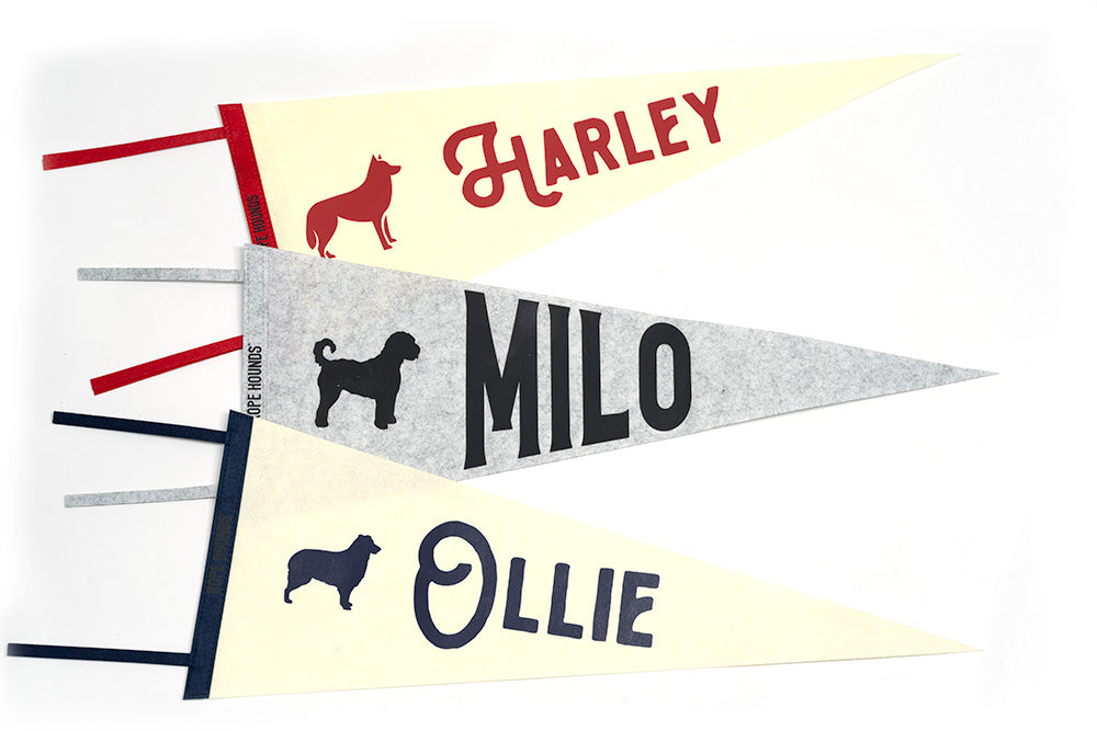 Rope Hounds Taproom Unisex Tshirt