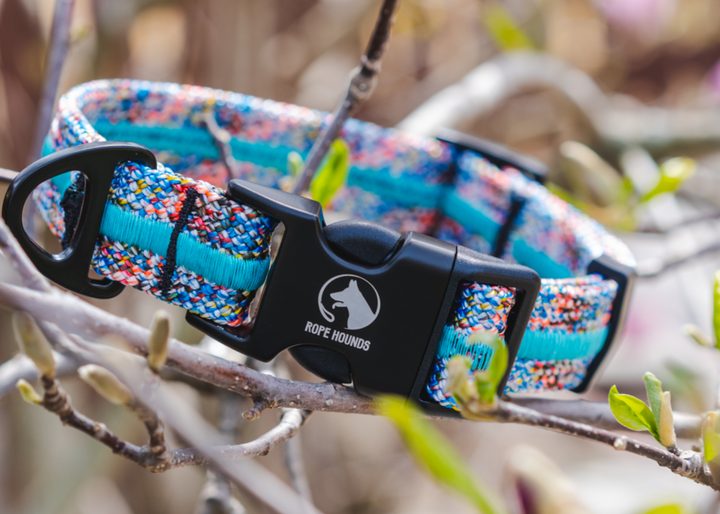 Adventure Dog Collar - Multicolor