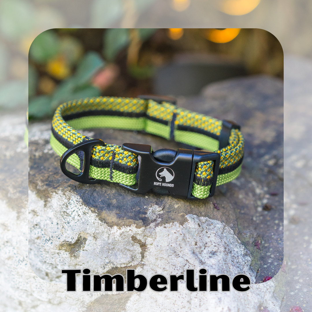 FALL FI COLLAR RELEASE | Timberline