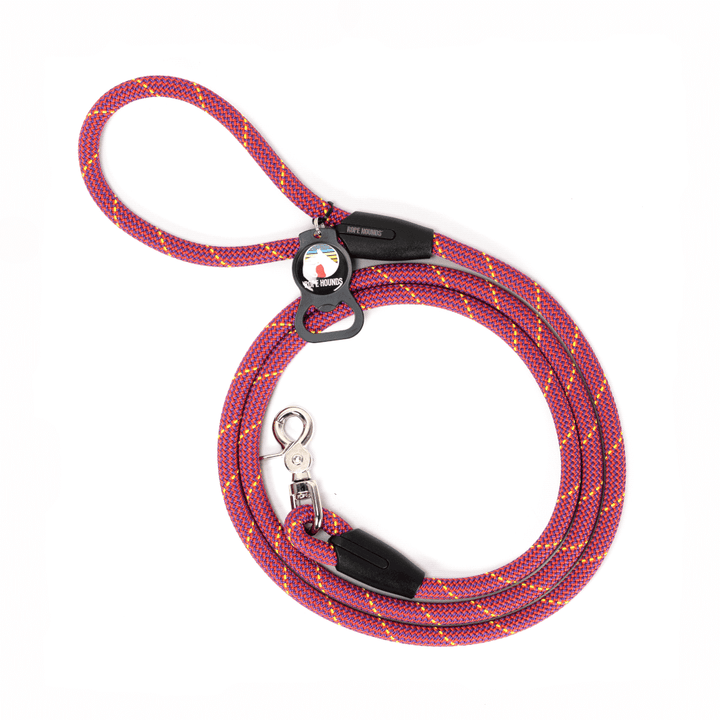 Classic Dog Leash - Pinks/Purples
