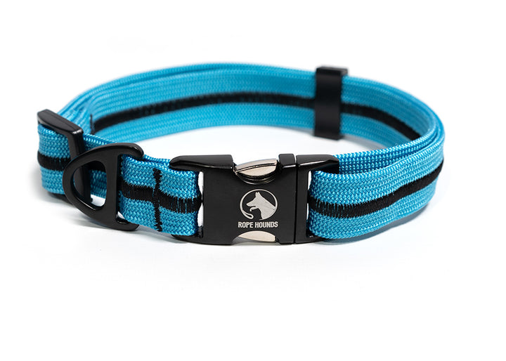 Adventure Dog Collar - Blues