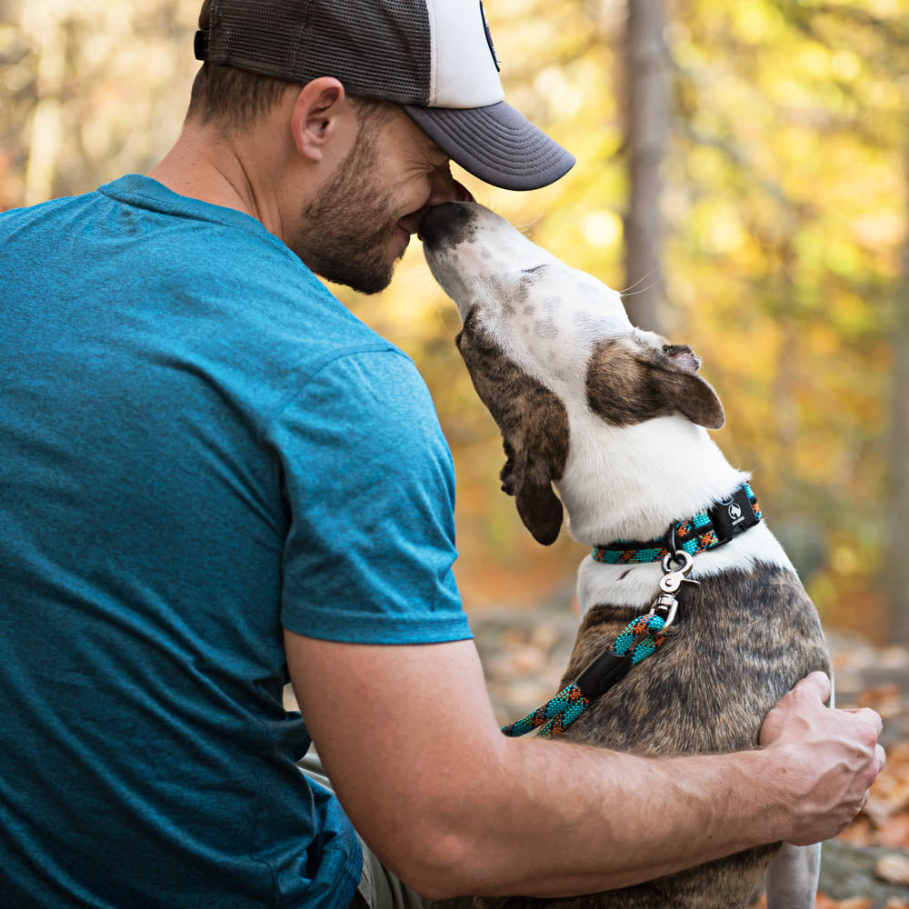 Valentine’s Day Treats for Your Furry Best Friend