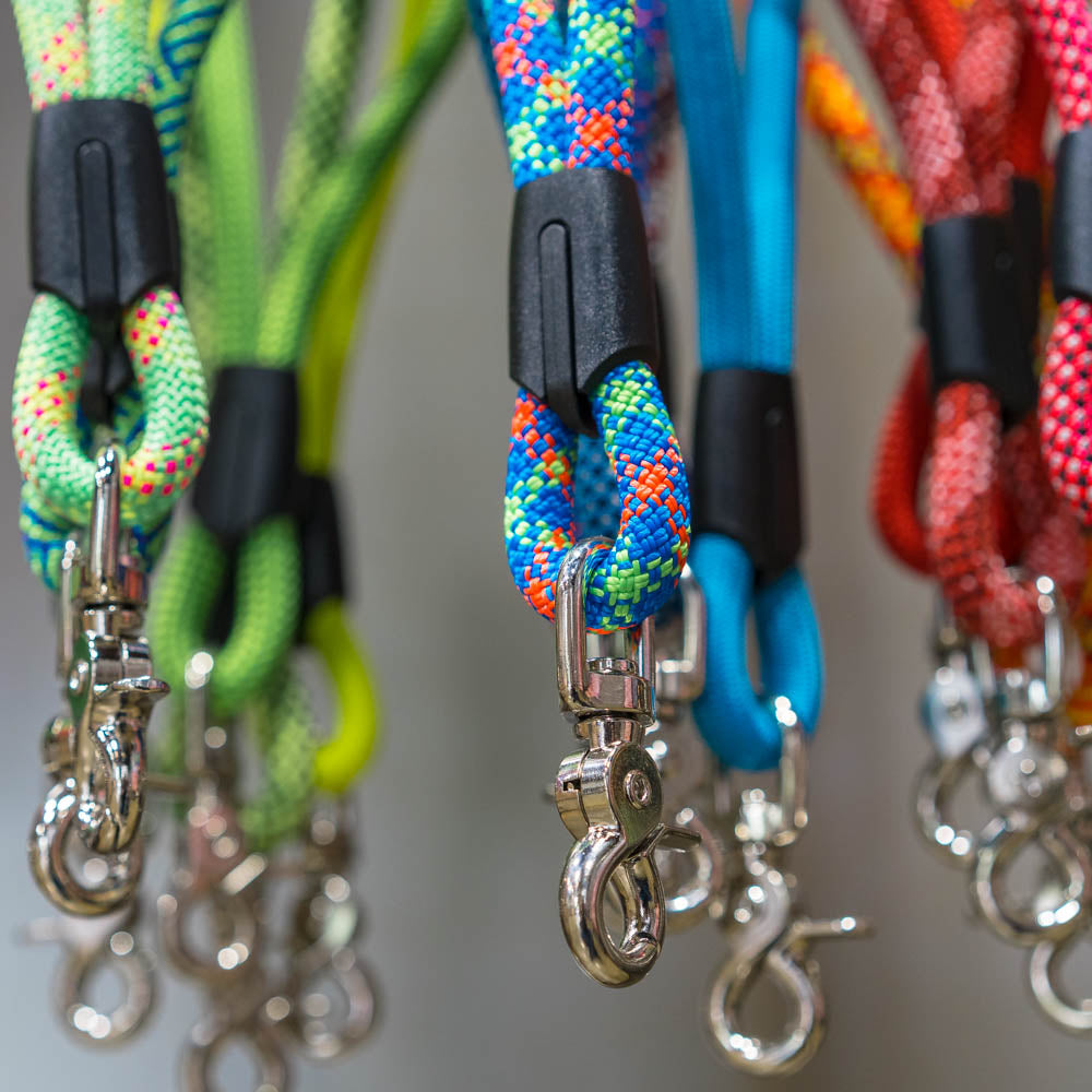 Retractable leashes are everywhere, but are they a safe option for your dog? Read this before you make your decision.