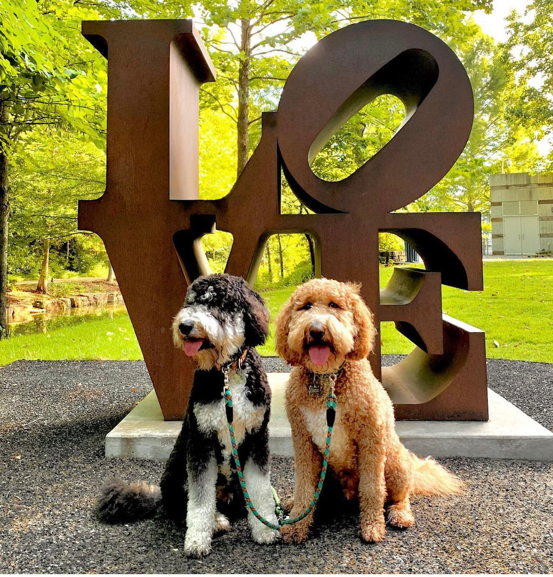 Two golden doodle dogs in front of the LOVE statue at Crystal Bridge Museum in Bentonville, Arkansas