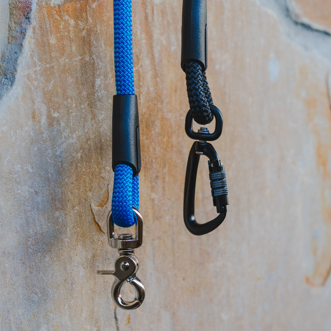 Why Not Use a Retractable Leash?