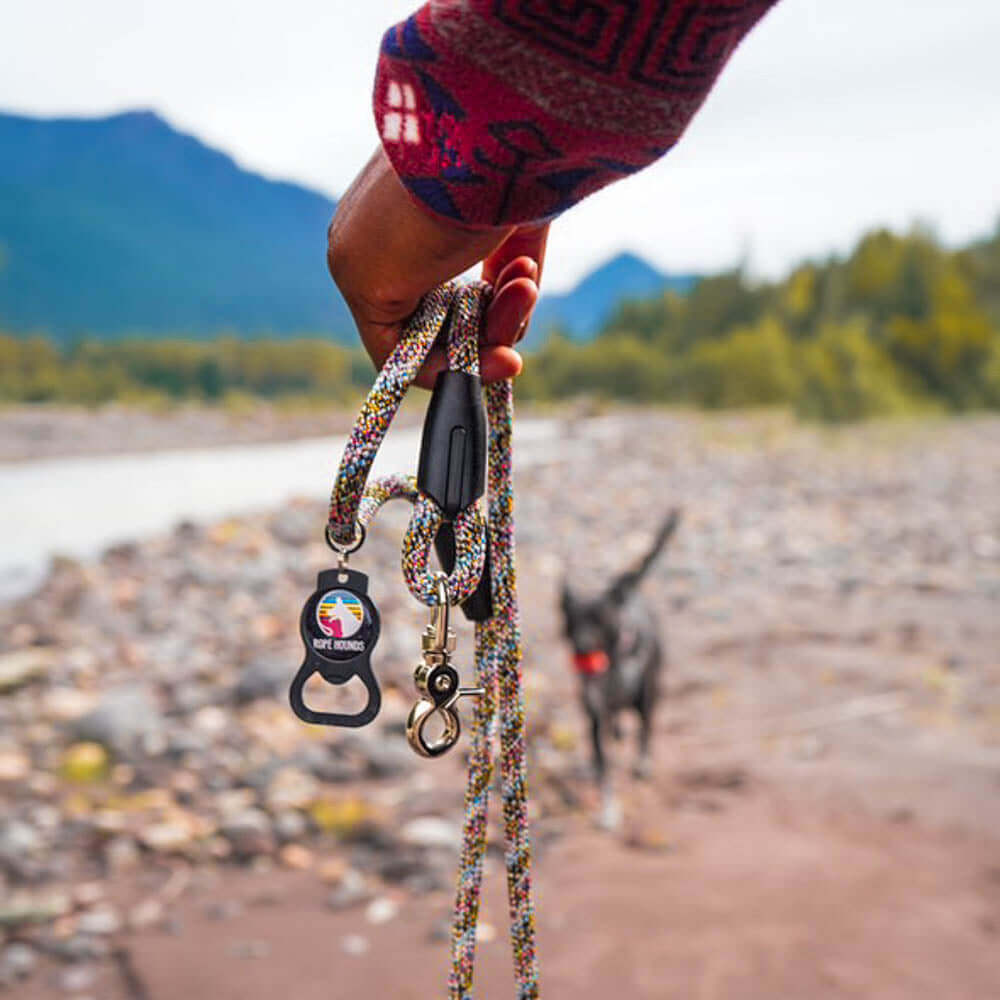 Rope Hounds Fi Compatible Dog Collar Orange