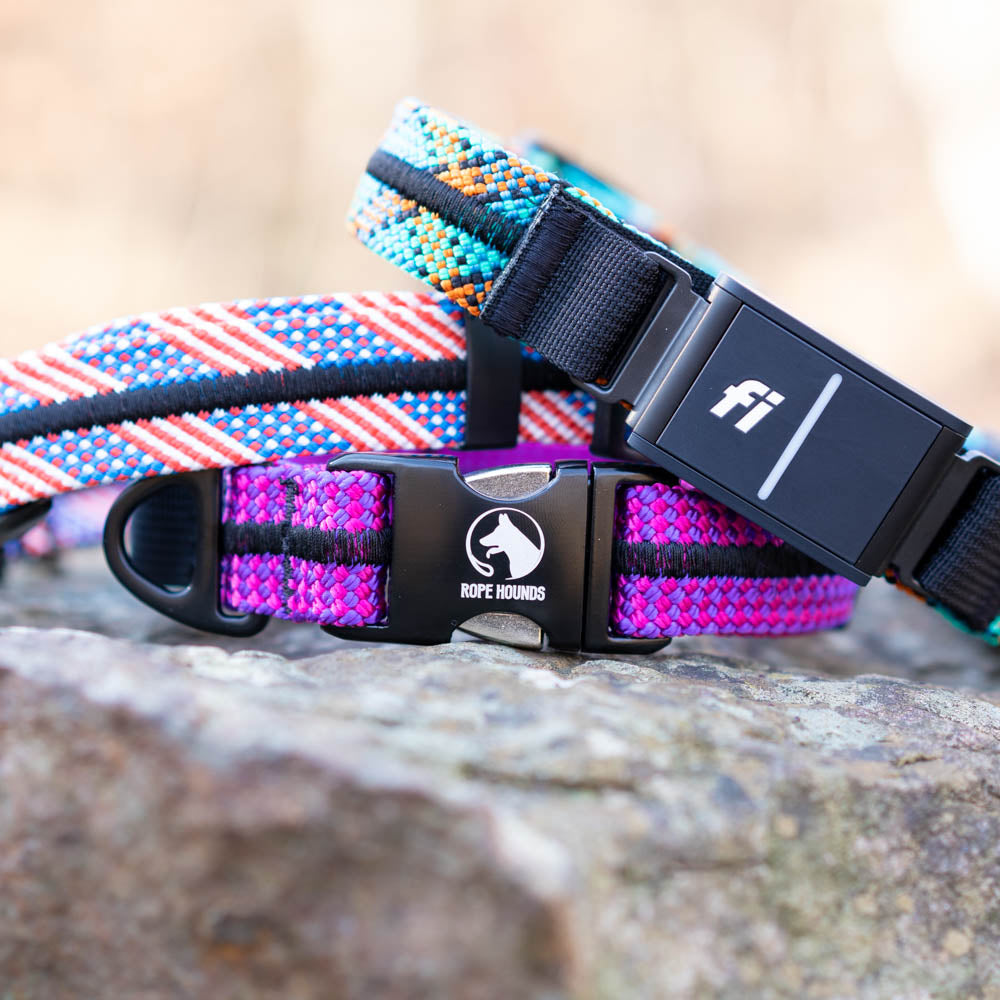 Stacked Fi compatible climbing rope dog collar and classic adventure dog collar