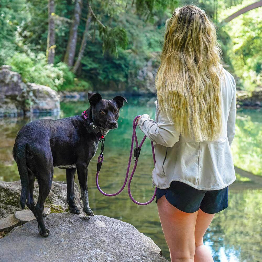 Rope Hounds Dog Gear Made for Adventure