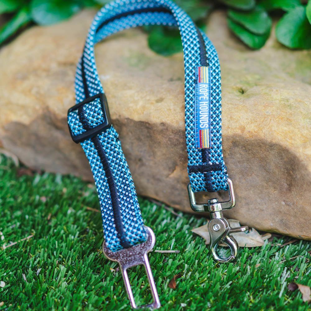 Fi Compatible Dog Collar  Clive and Bacon Custom Dog Accessories