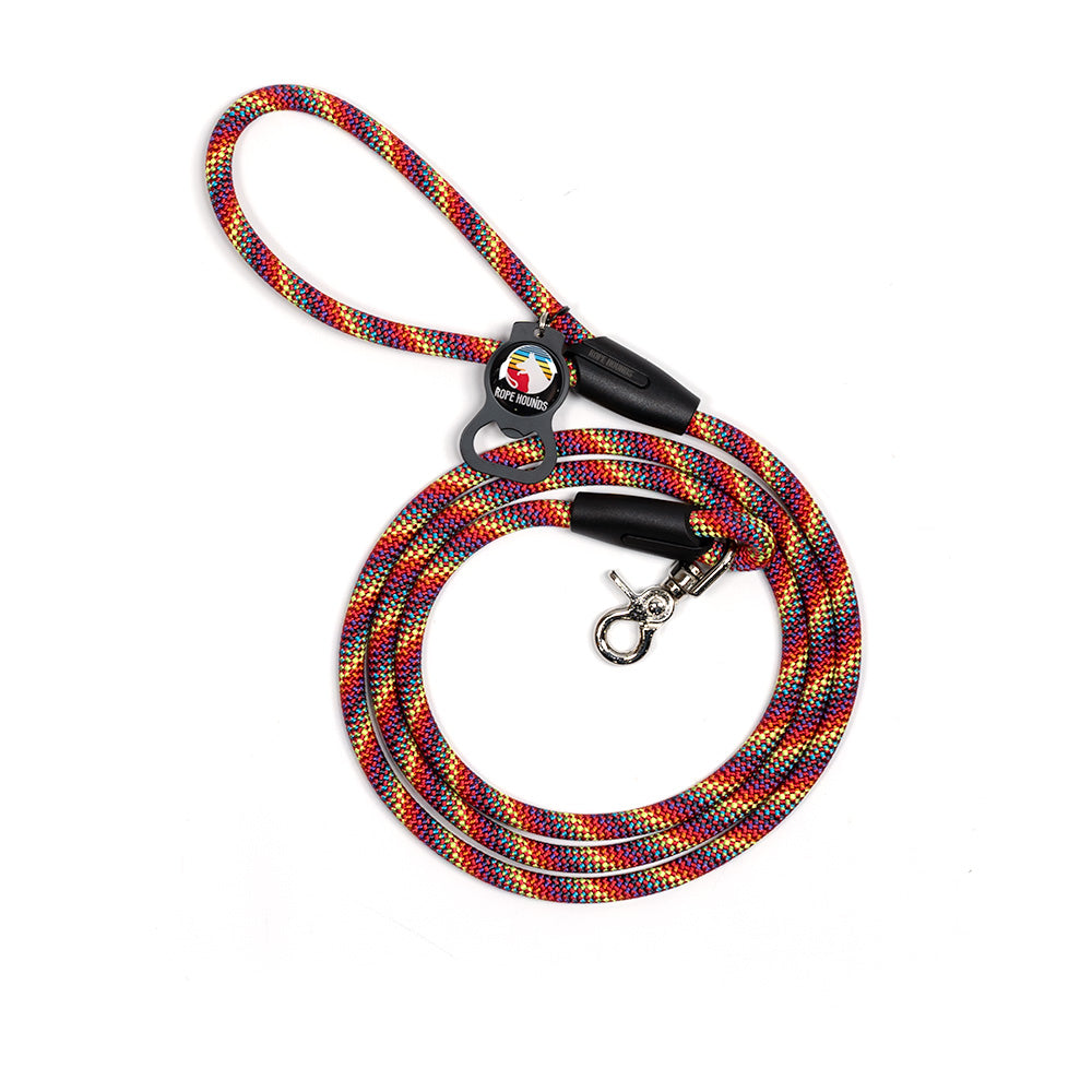 Classic Dog Leash - Multicolored