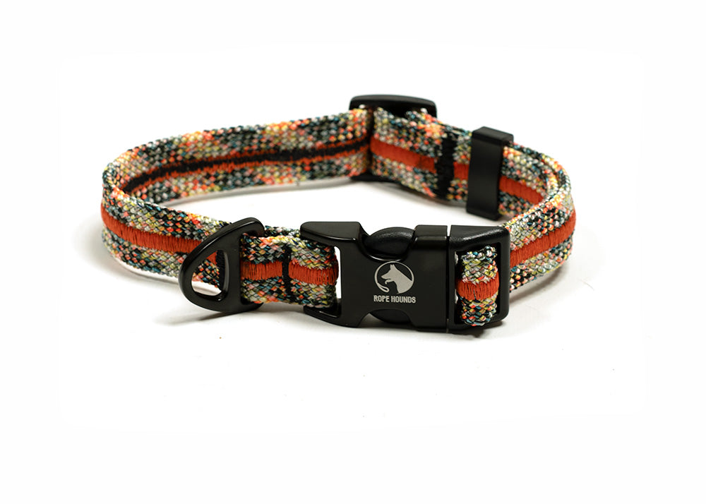 Fi Compatible Collar Band - Multicolor
