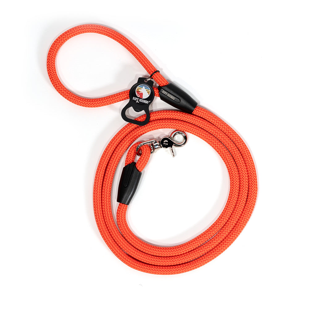 Classic Dog Leash - Reds/Oranges