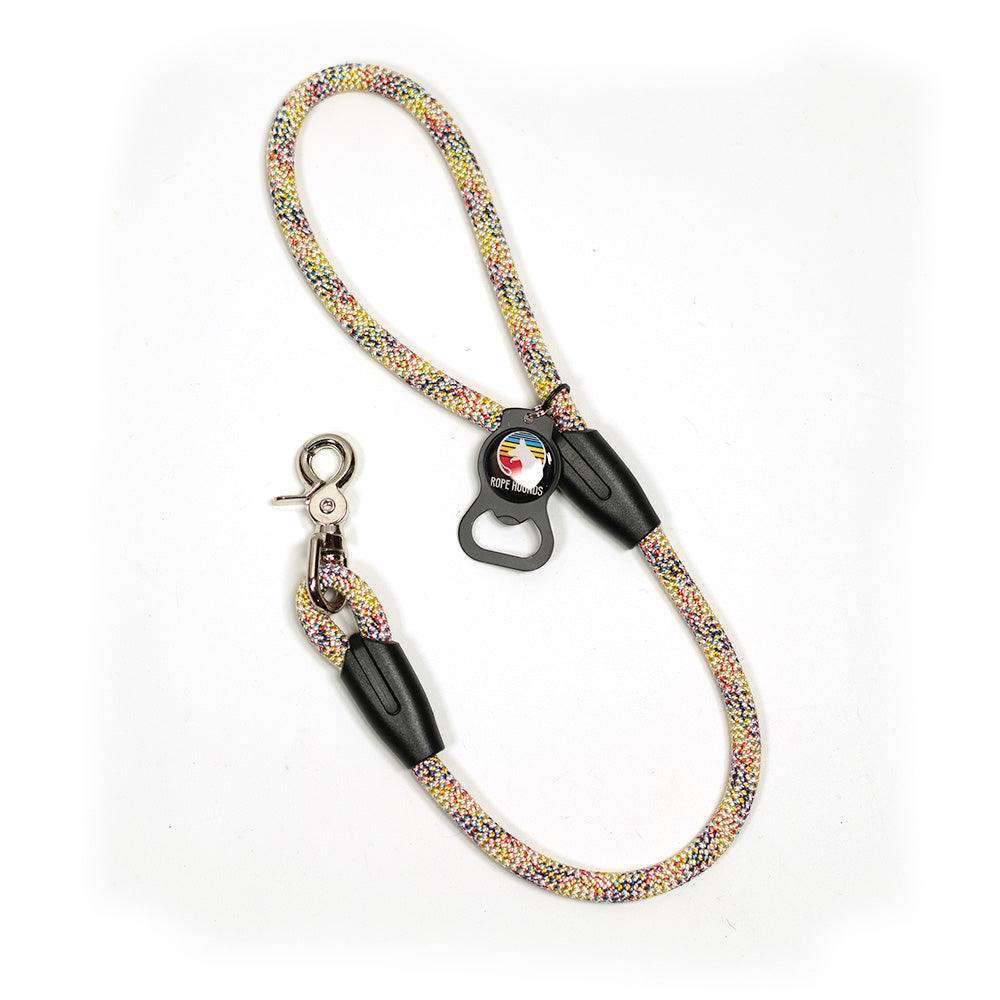 2' Dog Traffic Lead - Multicolor