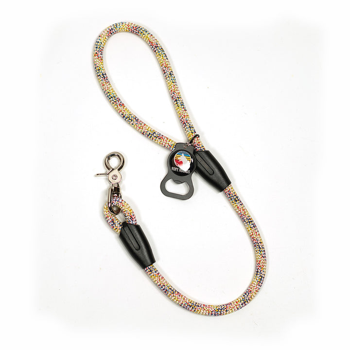 2' Dog Traffic Lead - Multicolor