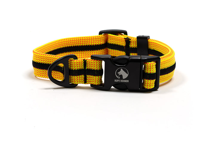 Adventure Dog Collar - Yellows