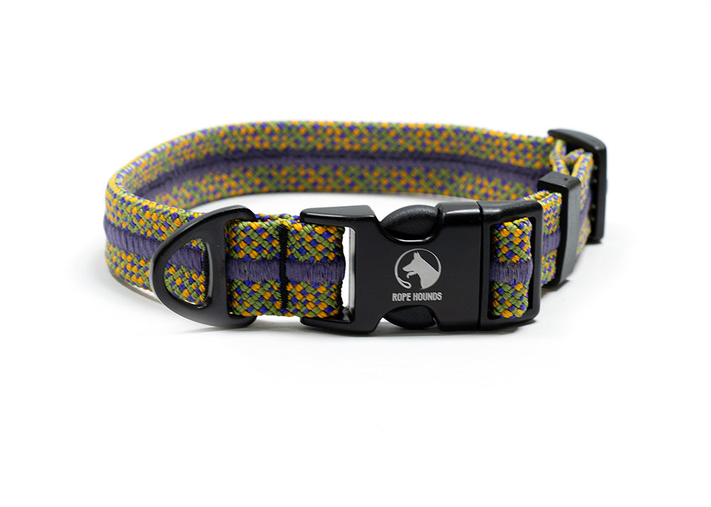 Mardi Gras Adventure Collar - LIMITED RELEASE