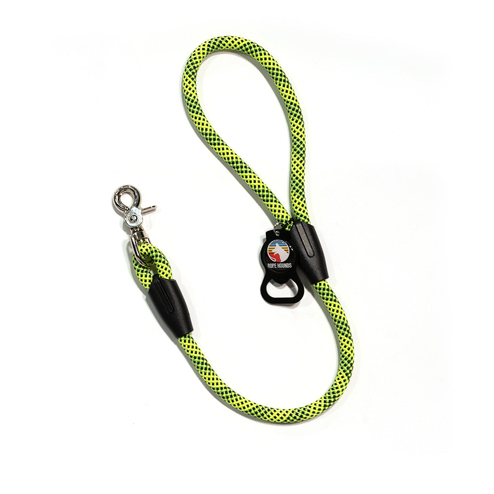 SALE 2' Rope Traffic Lead / Dog Leash Limoncello