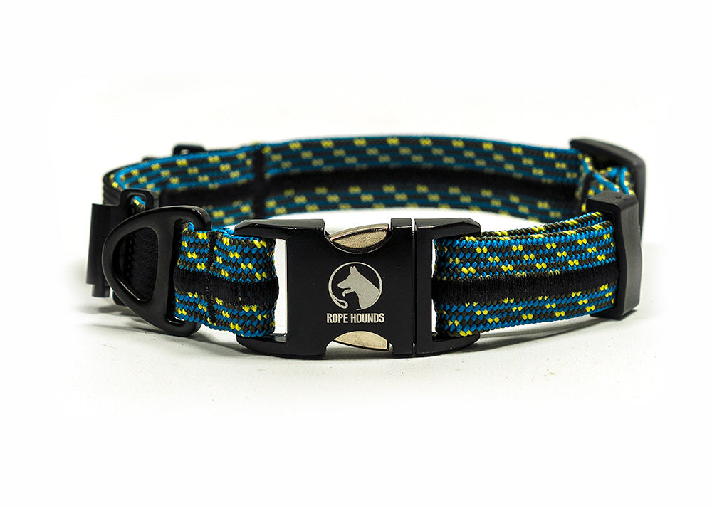 Fi Compatible Collar Band - Blues