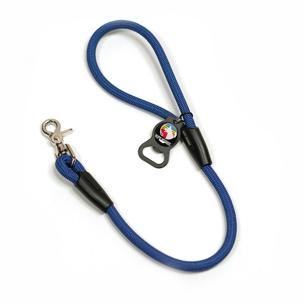 2' Dog Traffic Lead - Blues