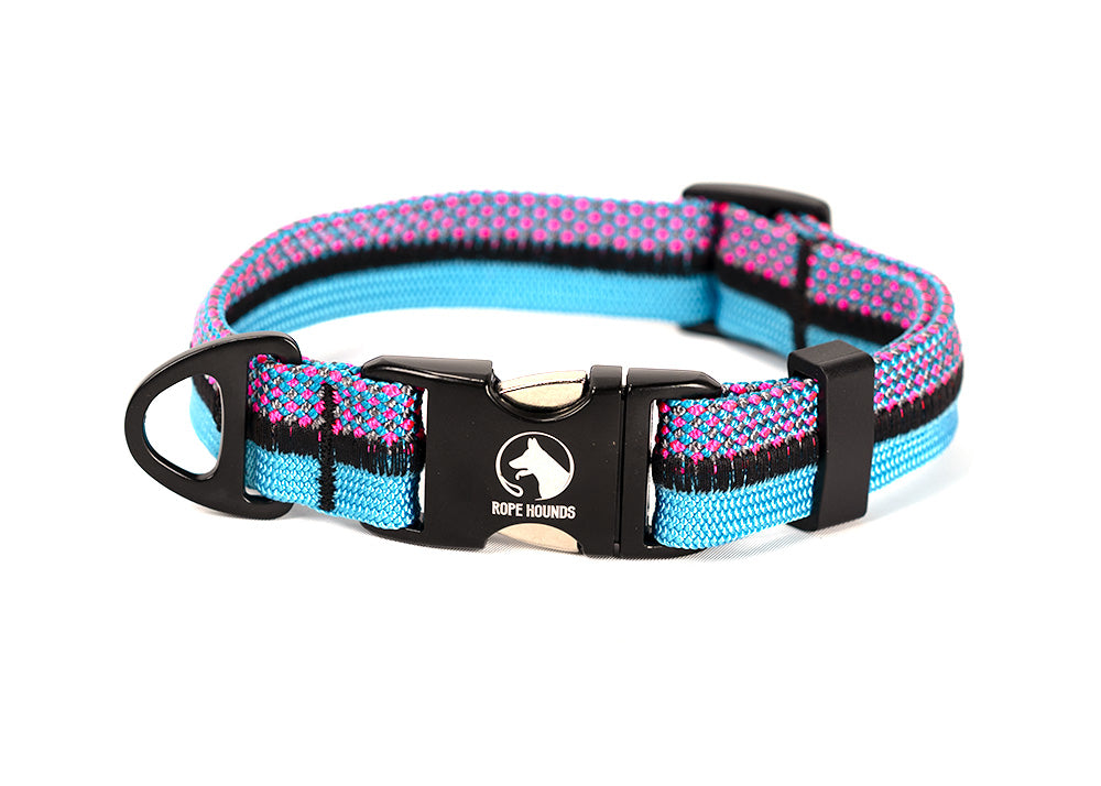 Cotton Candy summer limited edition dog collar in blue and pink