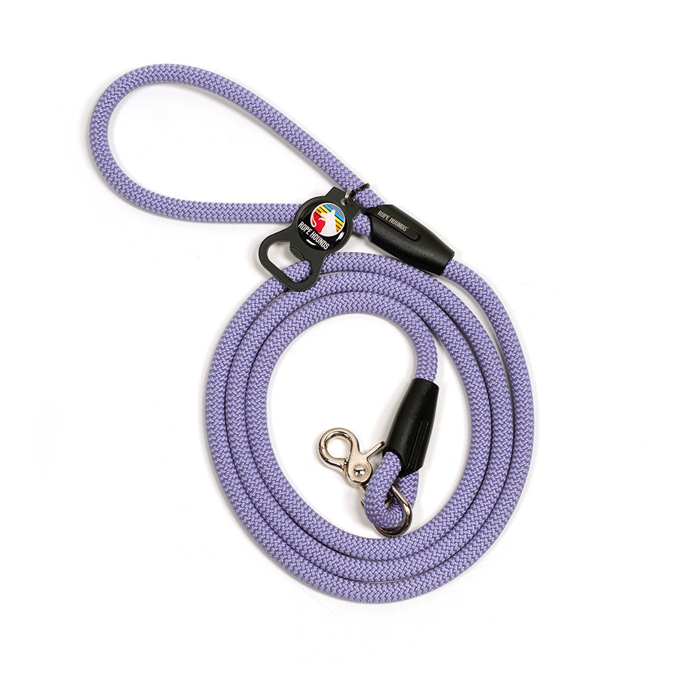 Classic Dog Leash - Pinks/Purples