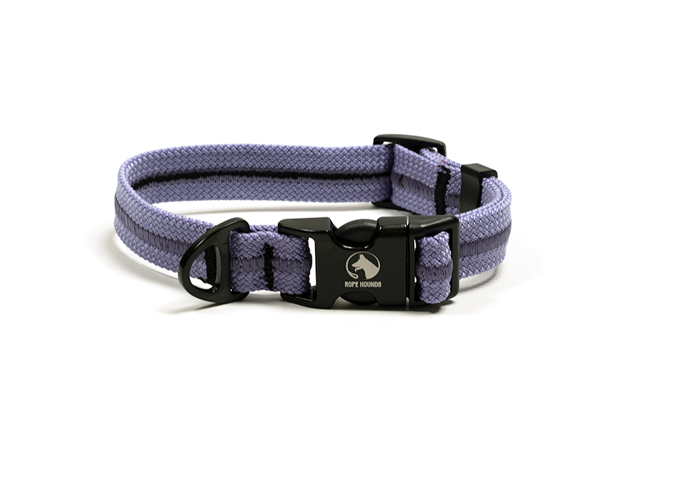Fi Compatible Collar Band - Pinks/Purples