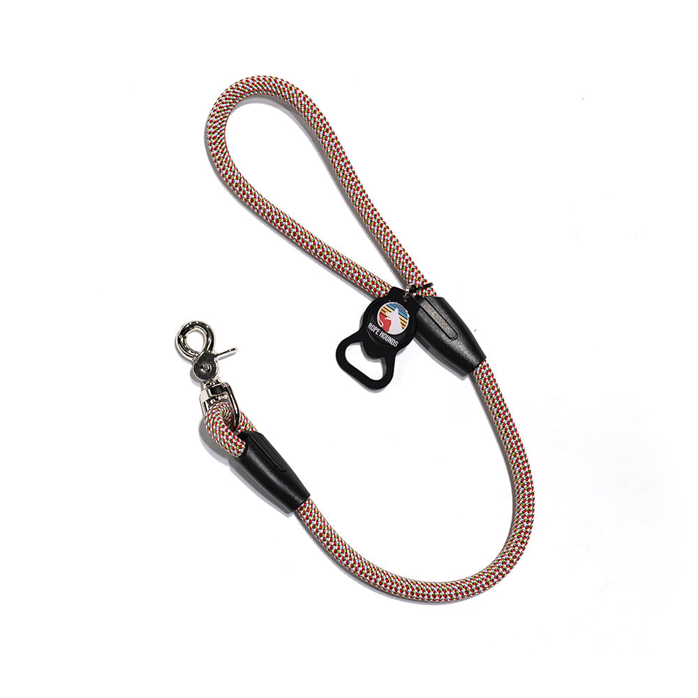 2' Dog Traffic Lead - Multicolor