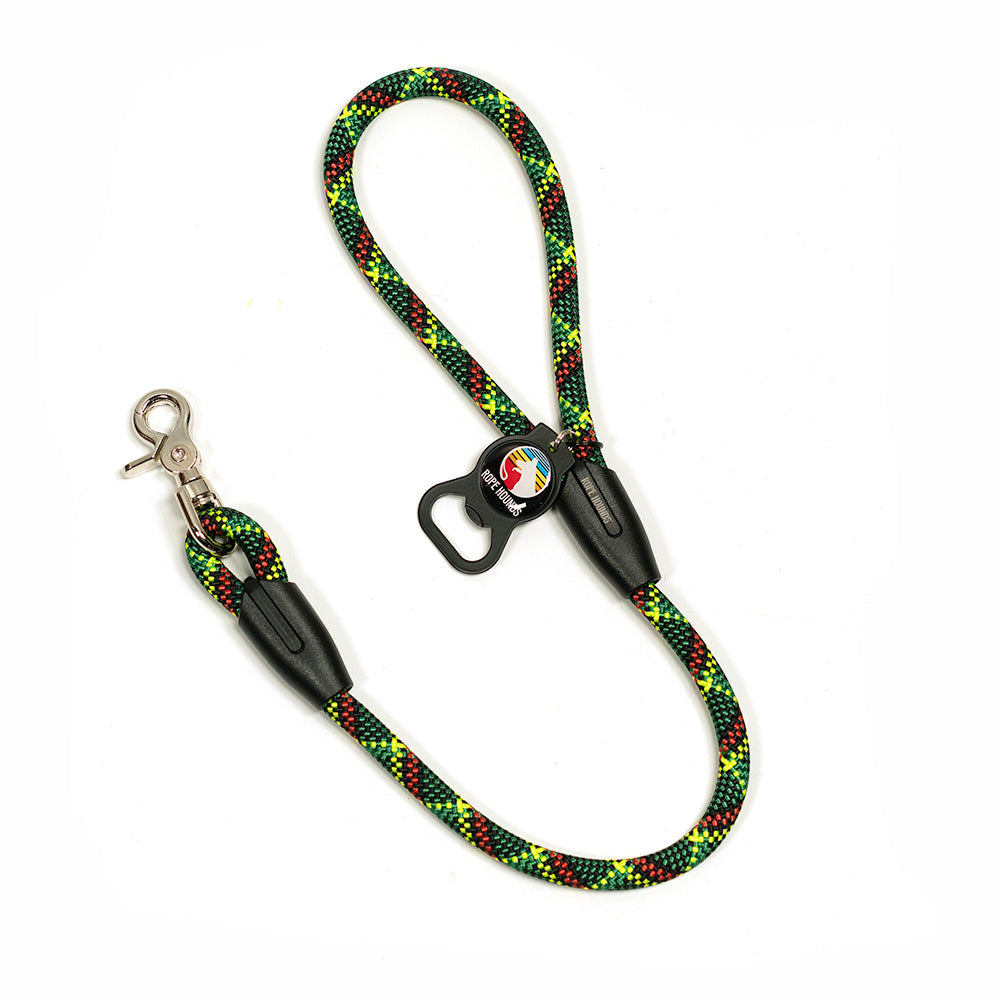 2' Dog Traffic Lead - Multicolor