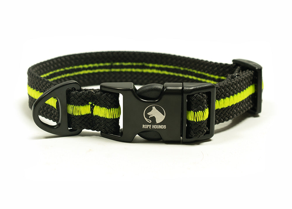 Adventure Dog Collar - Neutrals