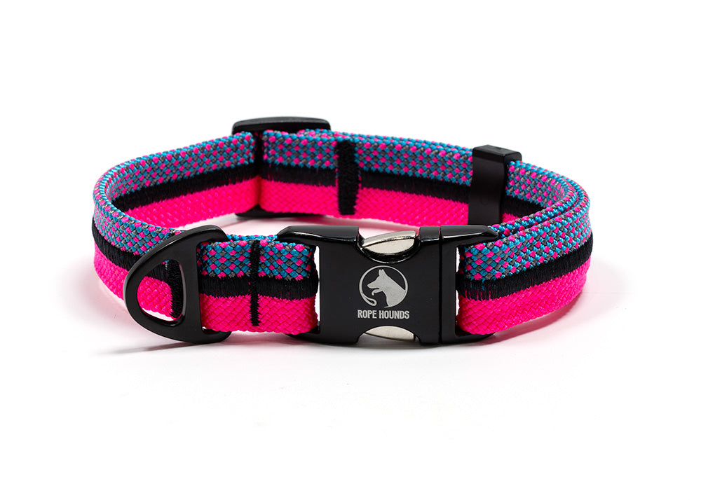 Adventure Dog Collar - Pinks/Purples