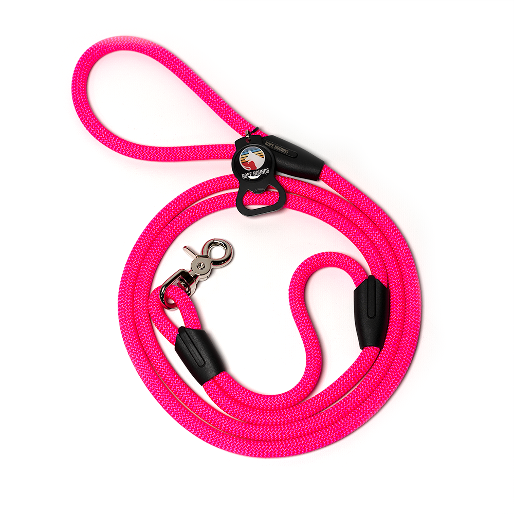 Dog Seat Belt - Pinks & Purples – Rope Hounds