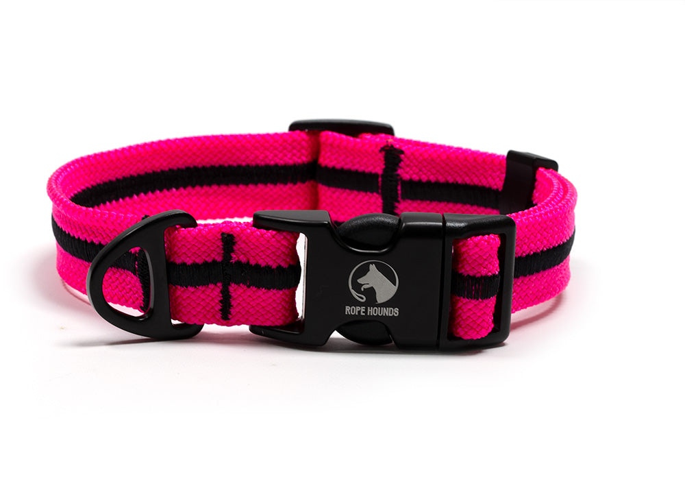 Adventure Dog Collar - Pinks/Purples