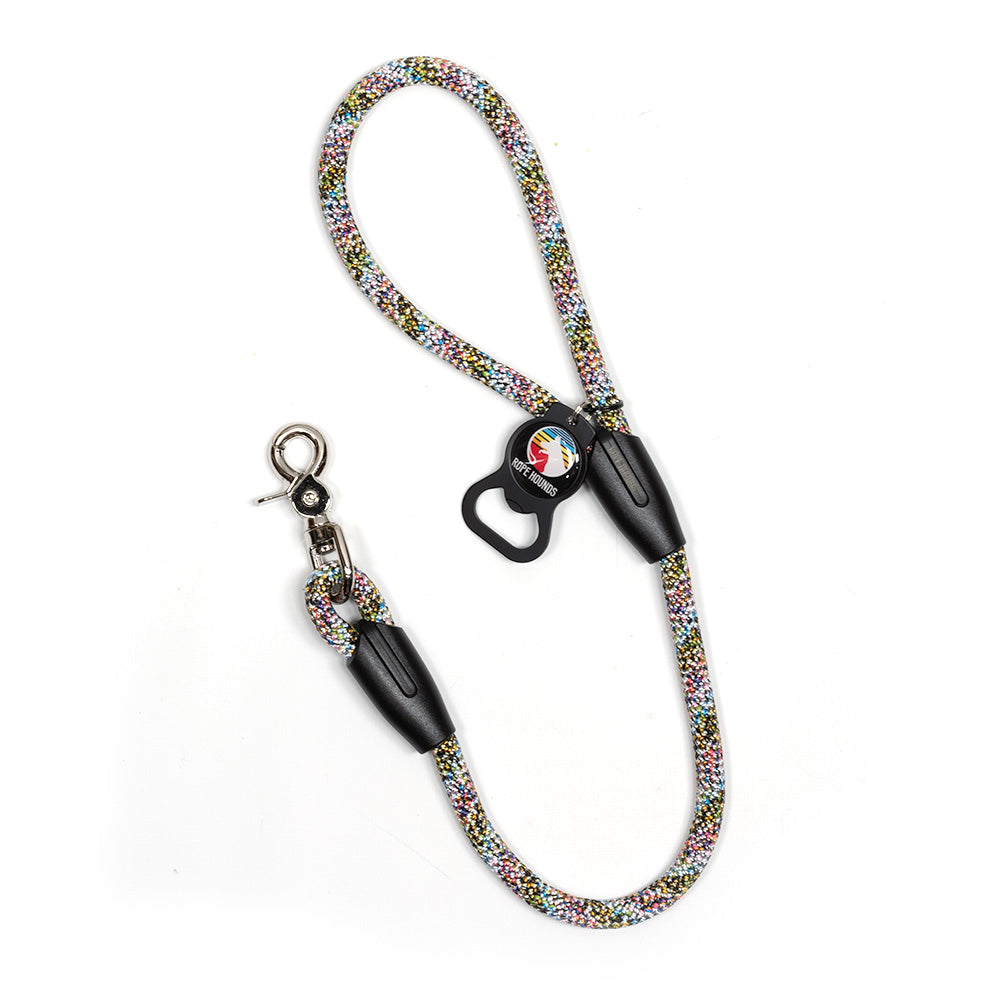 2' Dog Traffic Lead - Multicolor