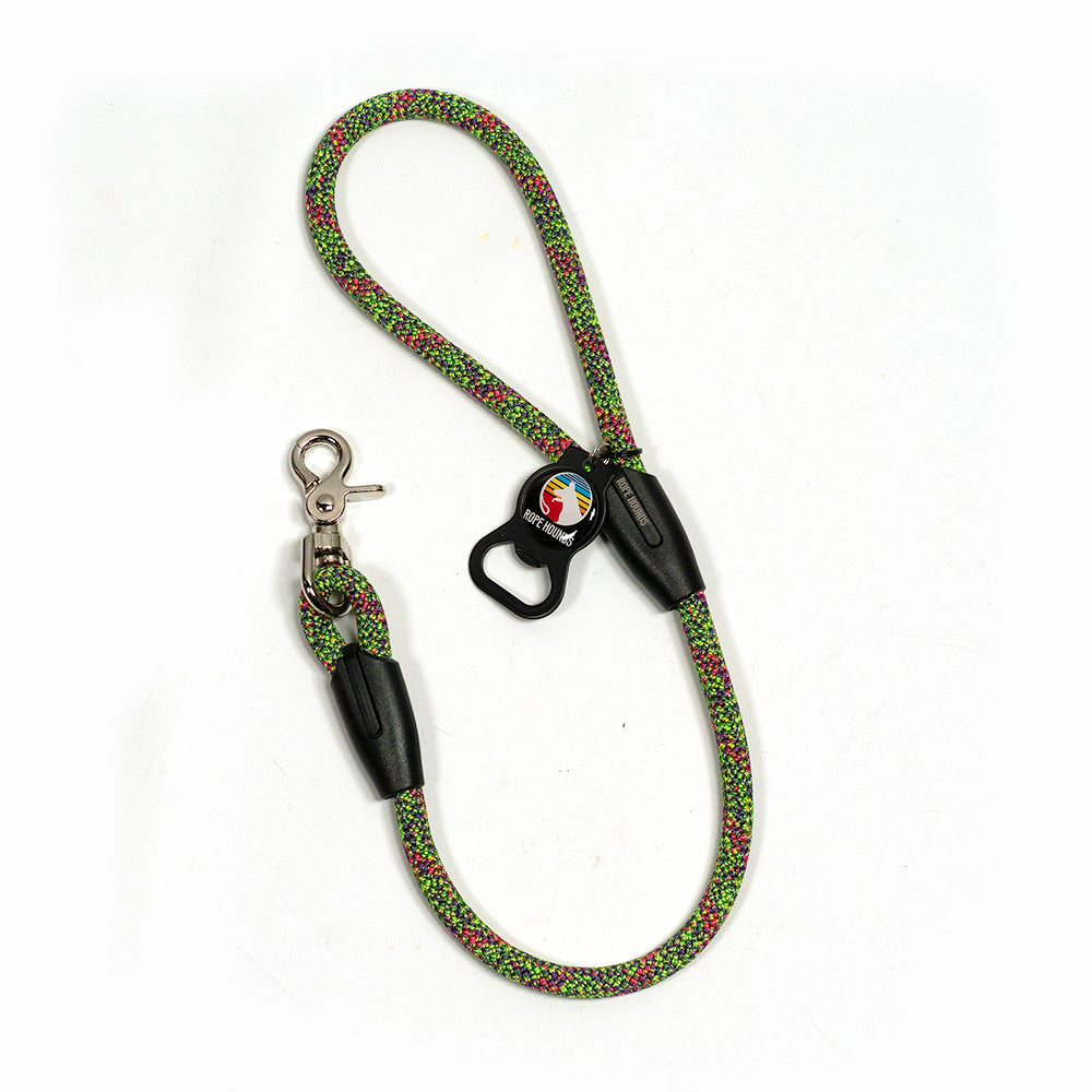 2' Dog Traffic Lead - Multicolor