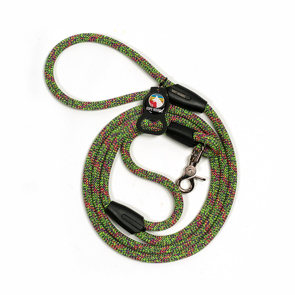 Urban Handle Dog Leash - Multicolored