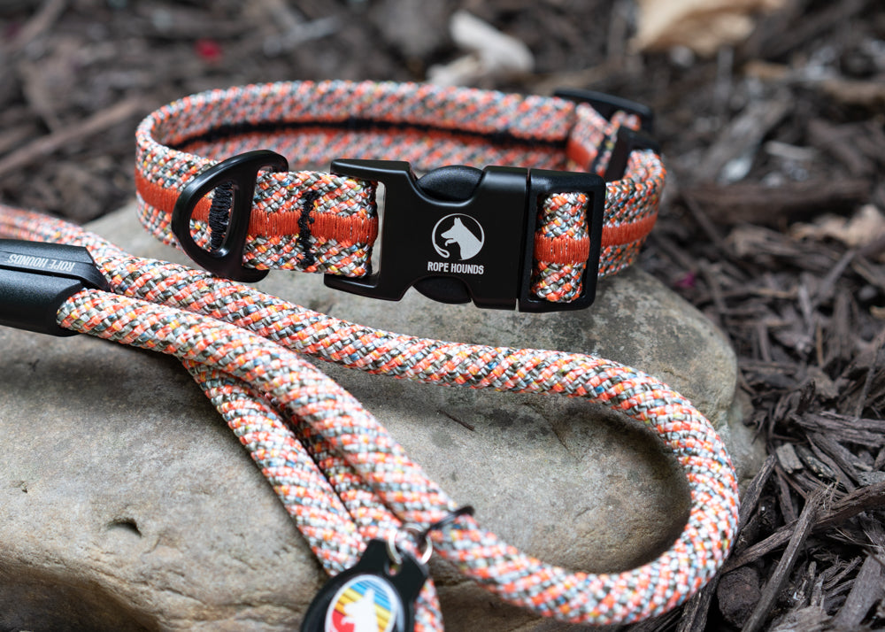Canyon Blaze Adventure Collar - FALL RELEASE