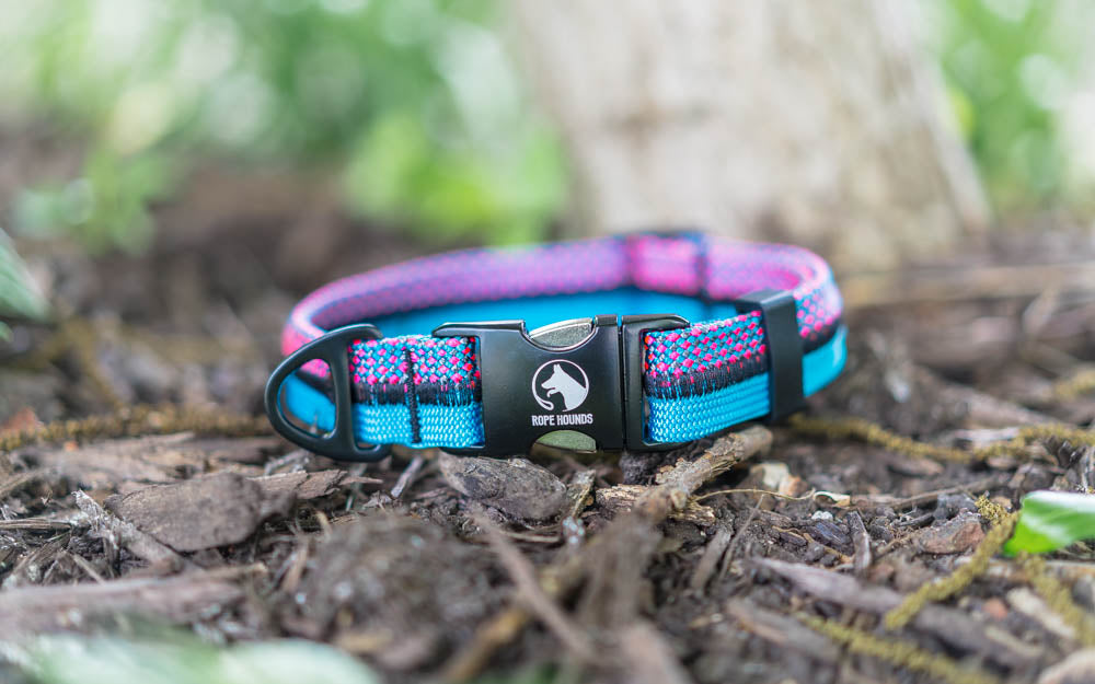 Rope Hounds Dog Gear Made for Adventure