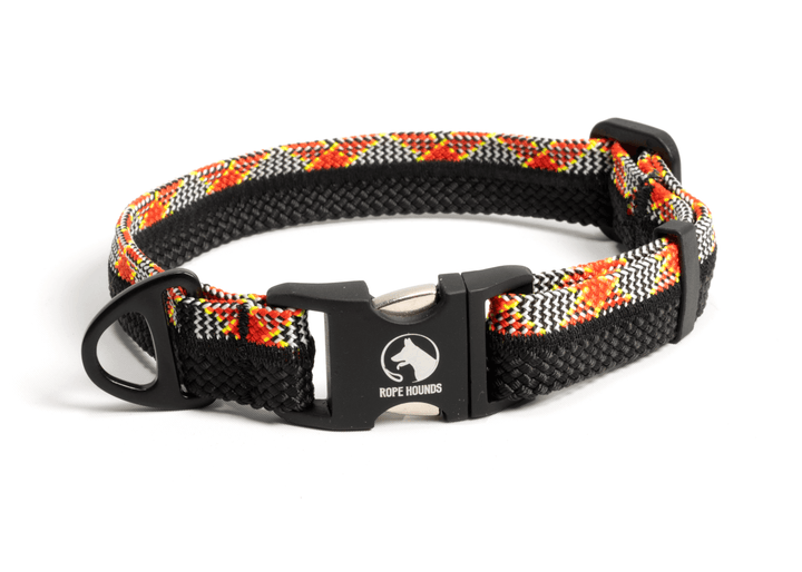 SALE - Fi Series 2 Collar