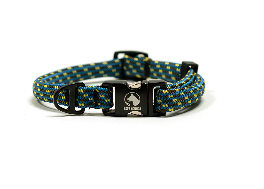 SALE - Adventure Dog Collar