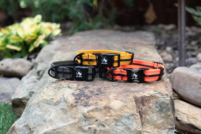 Rope Hounds Dog Gear Made for Adventure